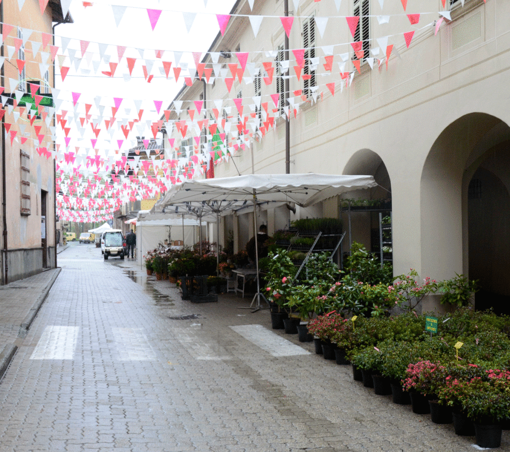 Vigone. Colori e profumi di primavera con Vigoflor