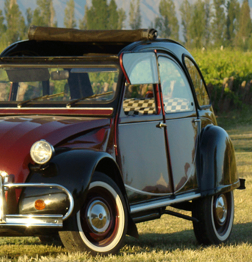 Raduno Citroen 2 cv a Vinovo