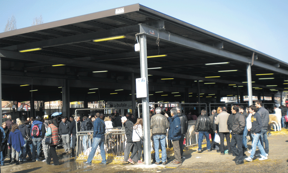 Carmagnola: Fiera di Primavera, la vetrina del settore agricolo il 7 e 8 marzo