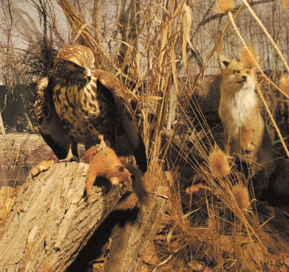 Orario musei del Parco del Po a Pasqua