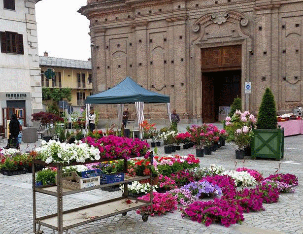 Barge-un-giorno-in-fiore-la-pancalera