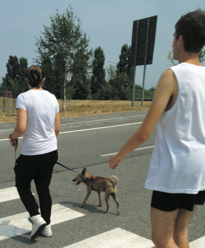 L’aiuto dei cani nella riabilitazione dei giovani