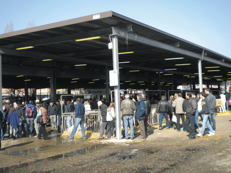 Carmagnola. Piazza Italia: aggiudicato il bando per i lavori