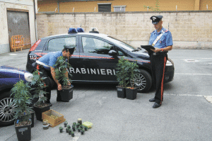 Sequestro-droga-la-Pancalera