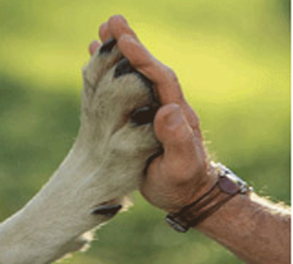 Conferenza a Lombriasco: “Il cane: lavoro e compagnia”