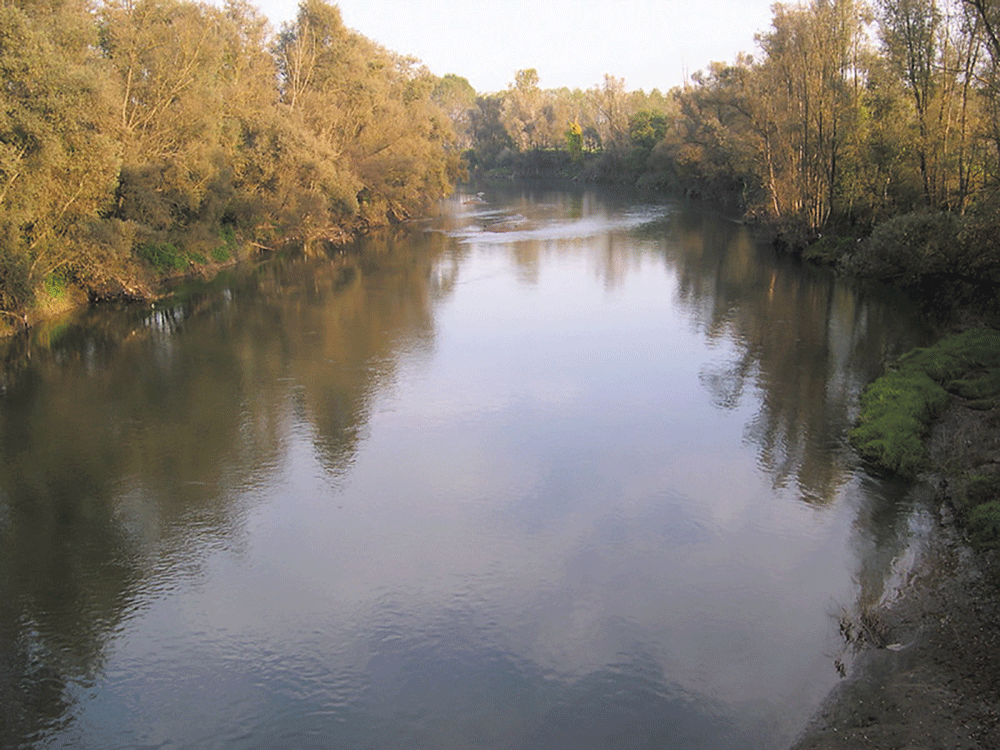 Ente-Parco-Po-Faule-la-pancalera