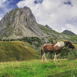 turismo-sostenibile-la-pancalera