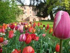 Messer Tulipano nel bellissimo Castello di Pralormo