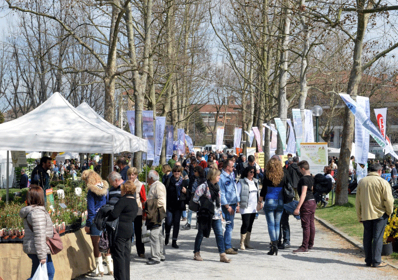 ortofloranatura_2015_LA-PANCALERA