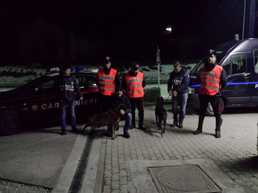 Controlli antidroga con i cani Nitro, Bonnie e Exen