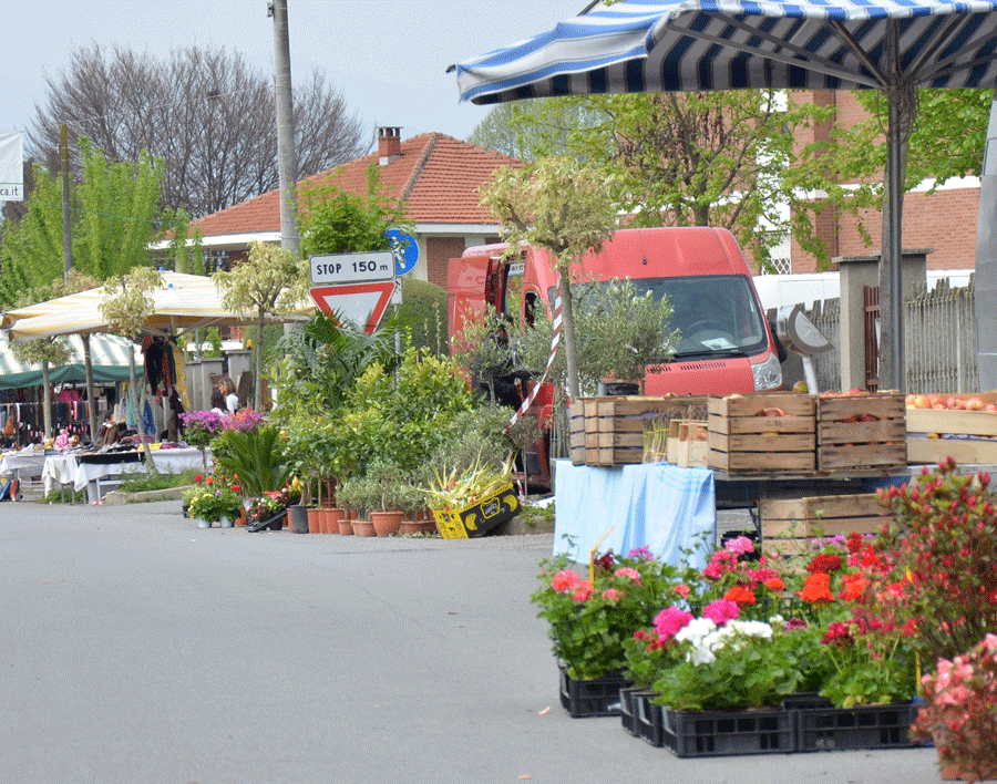 Scalenghe, ritorna Viotto in fiore