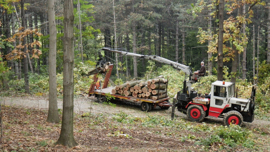 Piossasco, valorizzazione del Parco di Monte San Giorgio