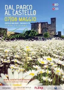 castello bagnolo la pancalera