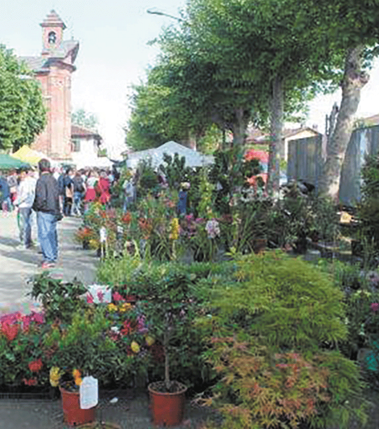 Cuore di Maggio, mercato benefico a Scalenghe