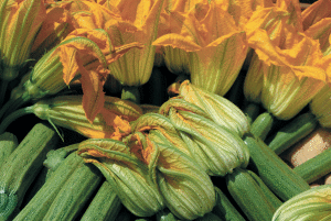 Zucchini la pancalera