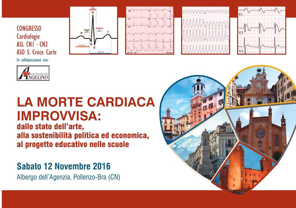 defibrillatore - la pancalera