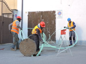 fibra - la pancalera