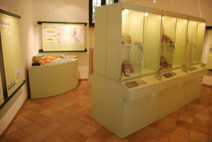 museo-martiniana-la-pancalera
