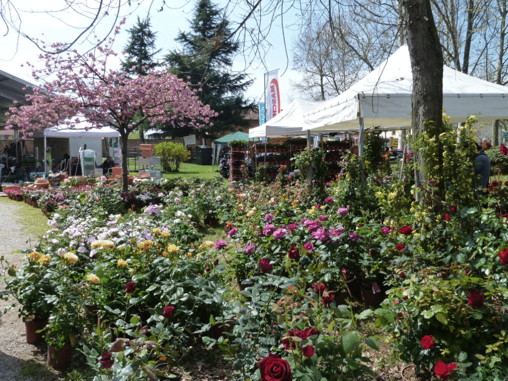 A CARMAGNOLA “ORTOFLORA & NATURA”