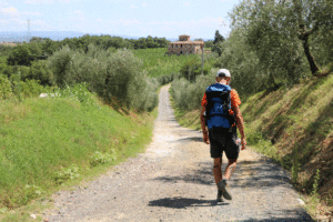 via-francigena-la-pancalera