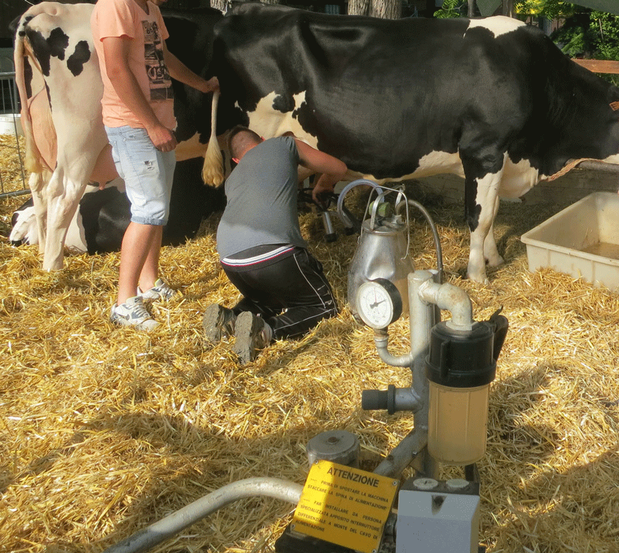 All’Agraria di Carmagnola AmbienTiAmoCi 2017