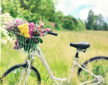 Pedalata da Carmagnola a Racconigi