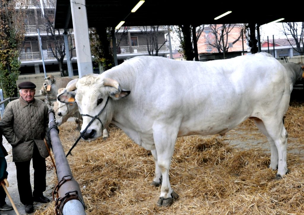 A CARMAGNOLA IL NATALE È ANCHE IL TEMPO DELLA TRADIZIONE