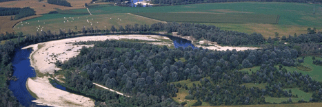 Idee per il Bosco del Gerbasso. Se ne parla con esperti