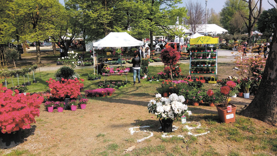 Per i trent’anni di Ortoflora allestito un giardino all’italiana