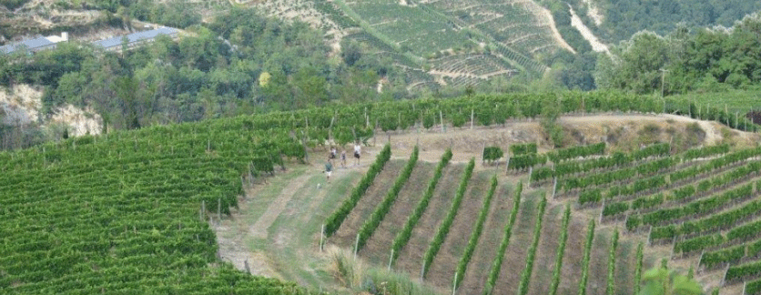 La Bruciata: «Con OltreNetwork abbiamo trovato nuovi clienti al di fuori del Piemonte»