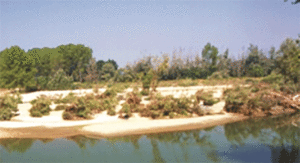 spiaggia-bosco-gerbasso-la-pancalera