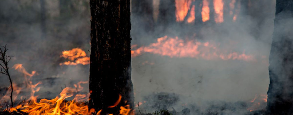 Chernobyl, allarme per  incendio che ha devastato la zona