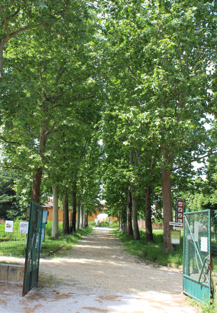 piante-parco-cascina-vigna