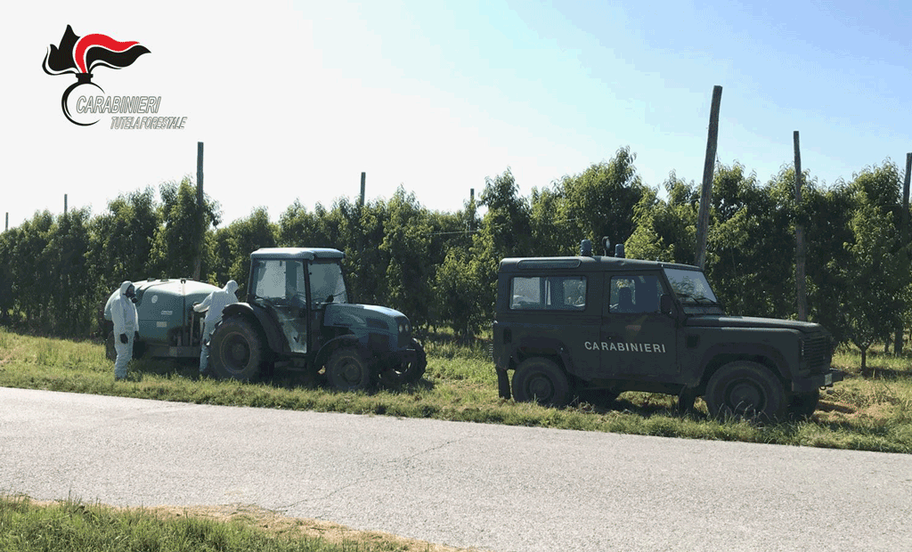 Carabinieri riscontrano uso scorretto di fitosanitari in agricoltura