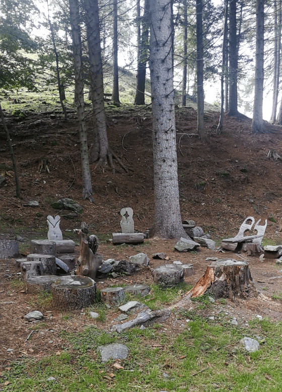 Coristi-a-pian-munè-Bosco-della-Trebulina