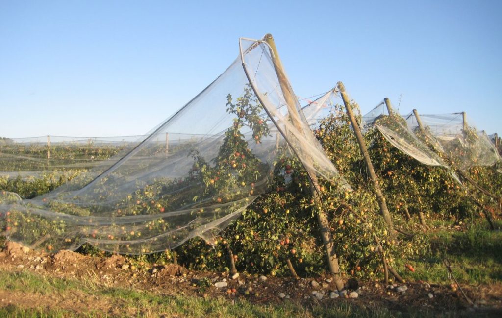 Assicurazioni: agricoltori e allevatori cuneesi non possono più aspettare