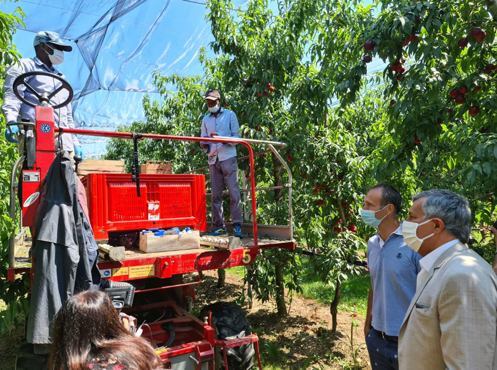L’assessore regionale Icardi visita a sorpresa i frutteti del saluzzese