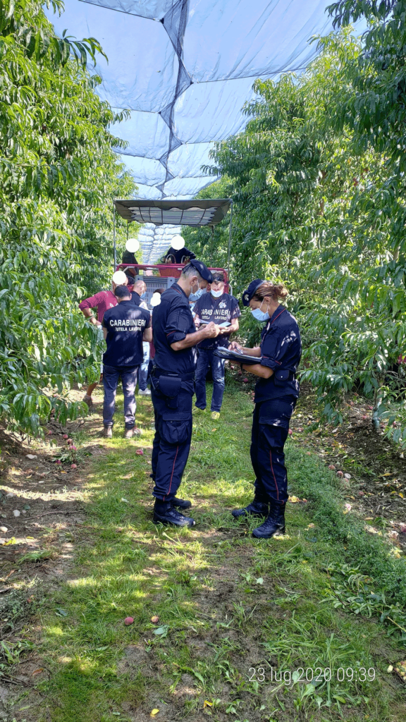 sanzioni-carabinieri-in-agricoltura