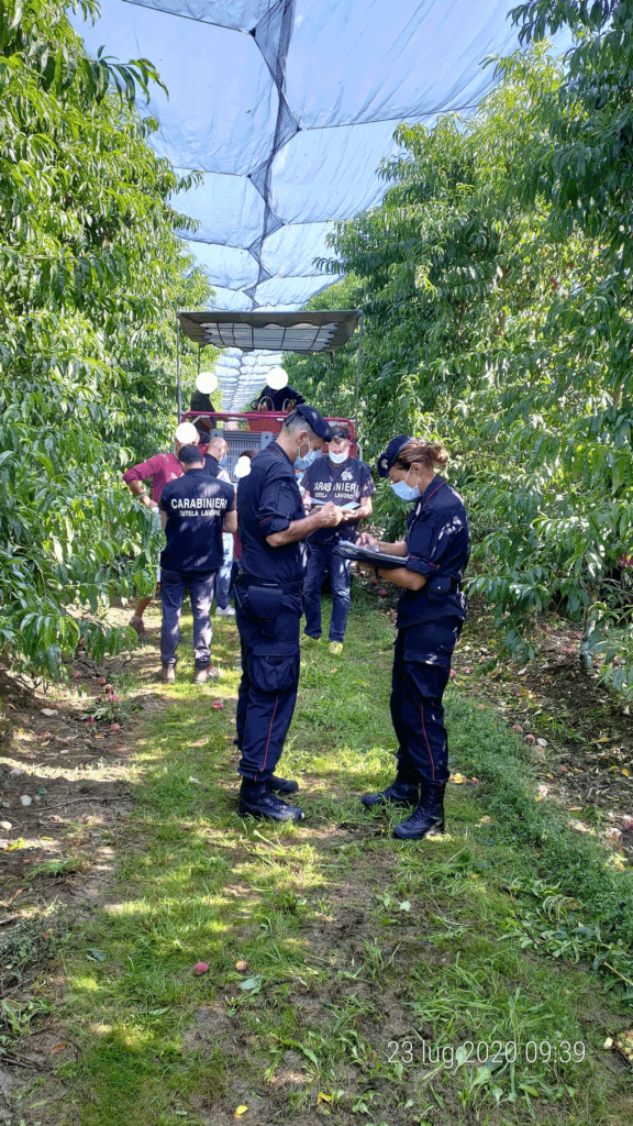 Sanzioni ad imprenditori agricoli per mancato rispetto norme