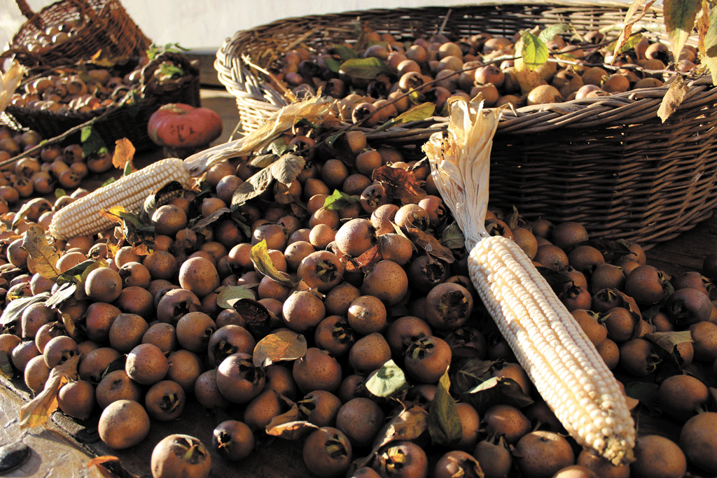 Virle Piemonte annulla la Fiera della Zucca di novembre