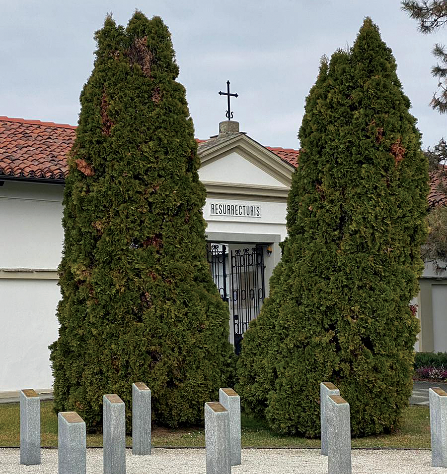 Finanziamenti-lavori-cimitero-torre-san-giorgio-la-pancalera