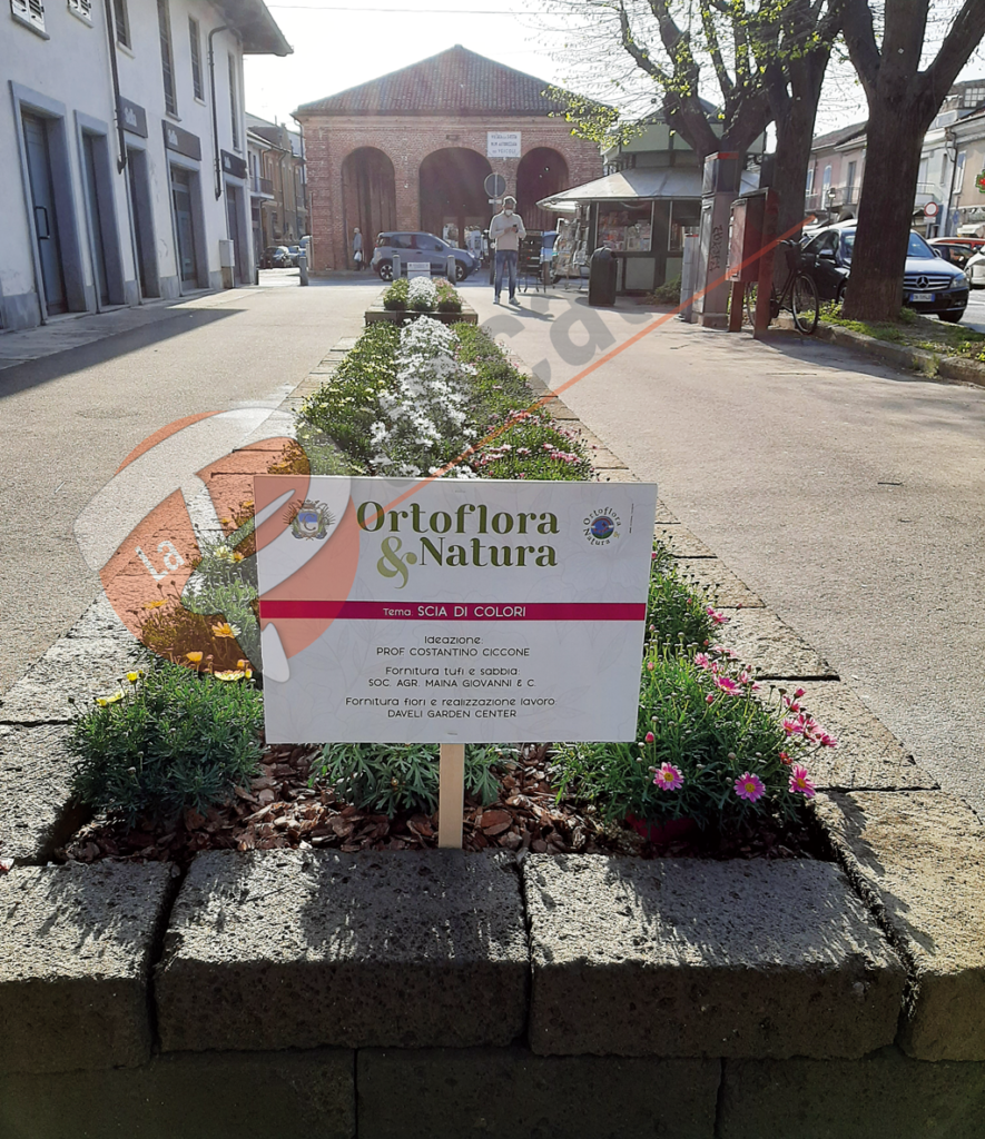 Salta Ortoflora, ma Carmagnola celebra l’evento con aiuole fiorite