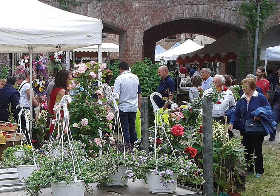 Salta il Mercato di Fiori & Vini, confermato il concerto e la mostra d’arte