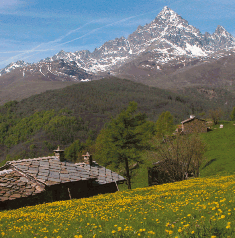 Tre webinar col Parco del Monviso per parlare di biodiversità