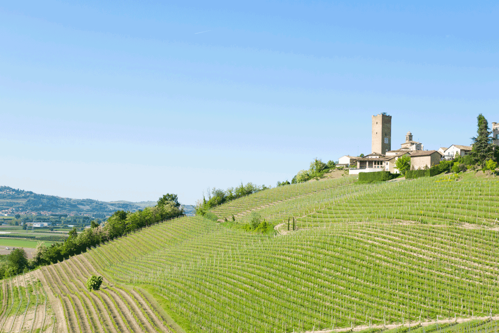 voucher-vacanze-langhe-barbaresco-la-pancalera