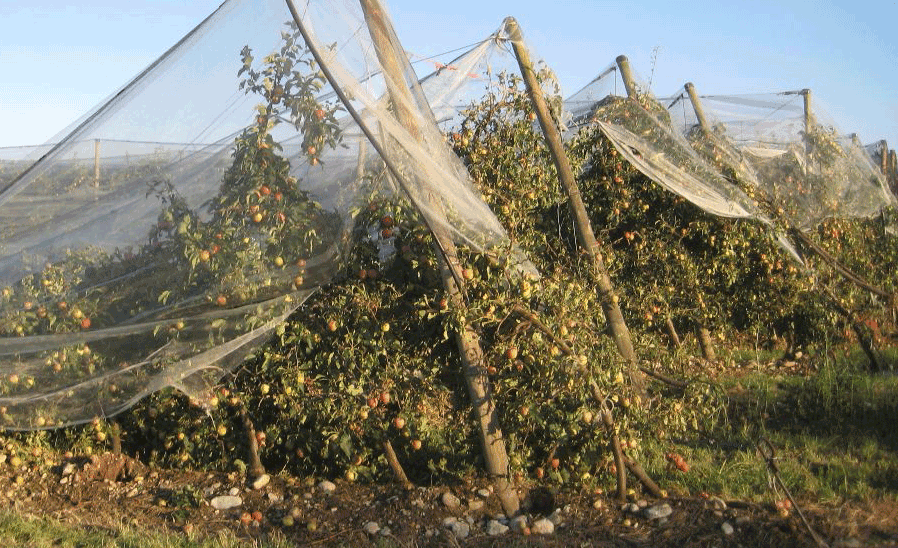 Danni-maltempo-piemonte-la-pancalera