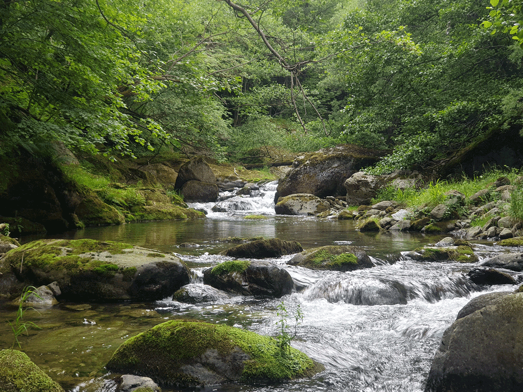 Ostana-comunita-custode-acqua-la-pancalera