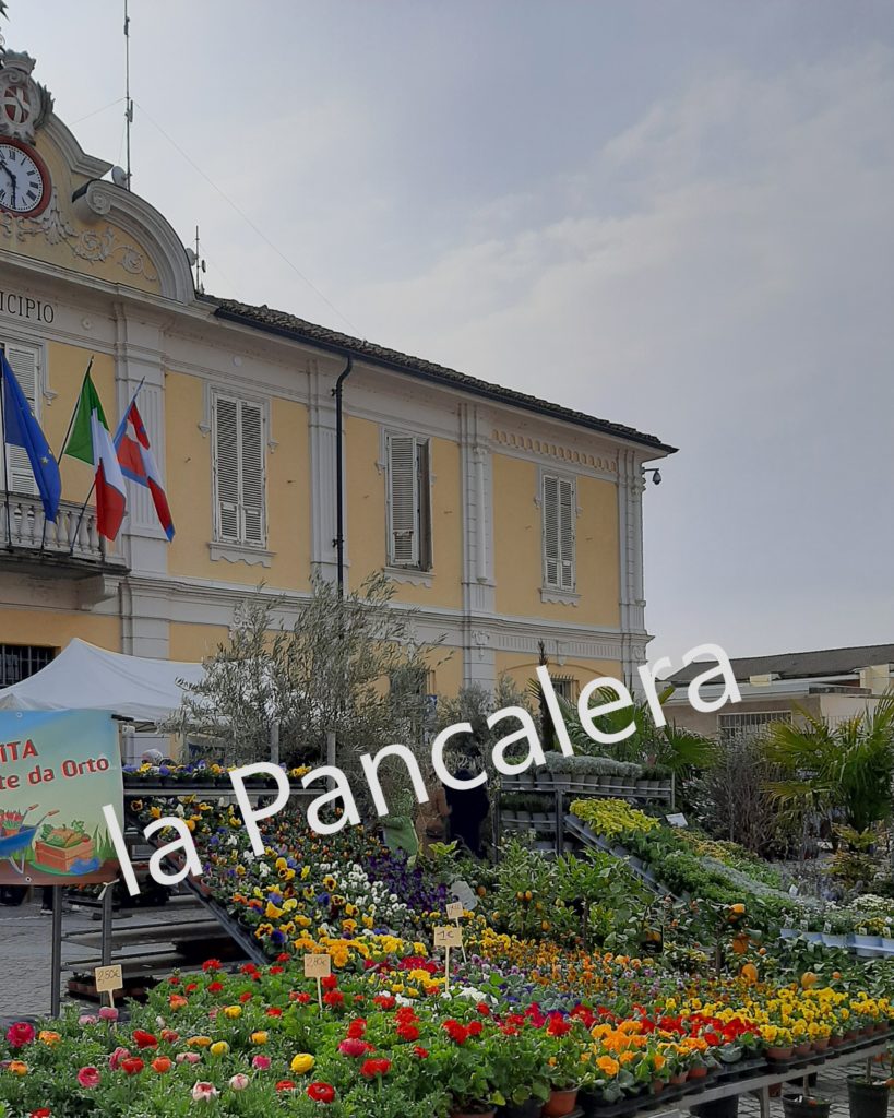 Fiera vivaistica Pancalieri la pancalera