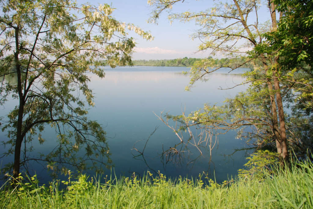 Concerto sul Po alla Riserva naturale Fontane tra Pancalieri e Faule