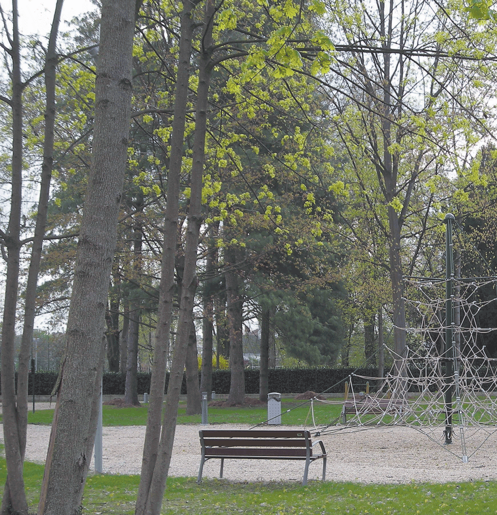 carignano-parco-la-pancalera-giornale